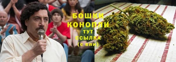 стафф Пестово