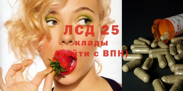 таблы Пересвет