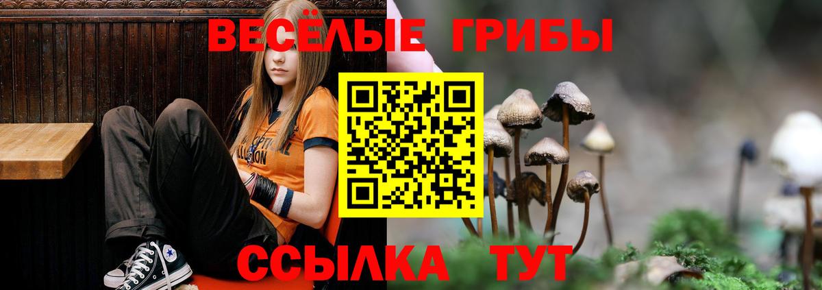 Псилоцибиновые грибы MAGIC MUSHROOMS  Вход с VPN  Галлюциногенные грибы Magic Shrooms  Шарыпово 
